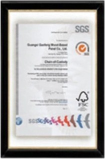 FSC Chain of Custody certificate (SGS)