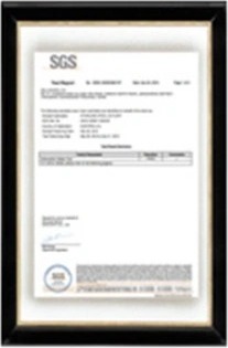 LFGB test certificate (SGS)